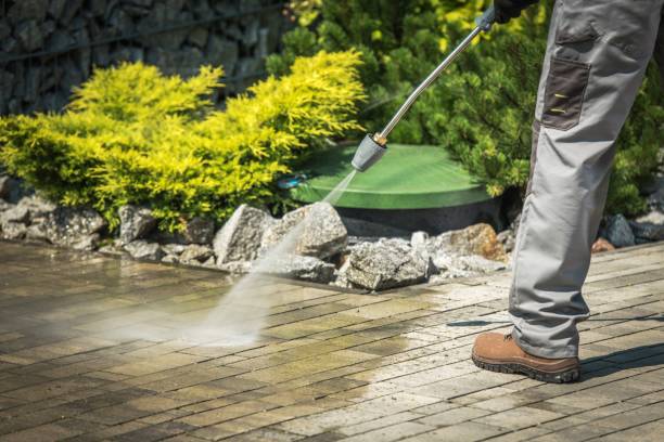 Best Solar Panel Cleaning  in Jacksonwald, PA